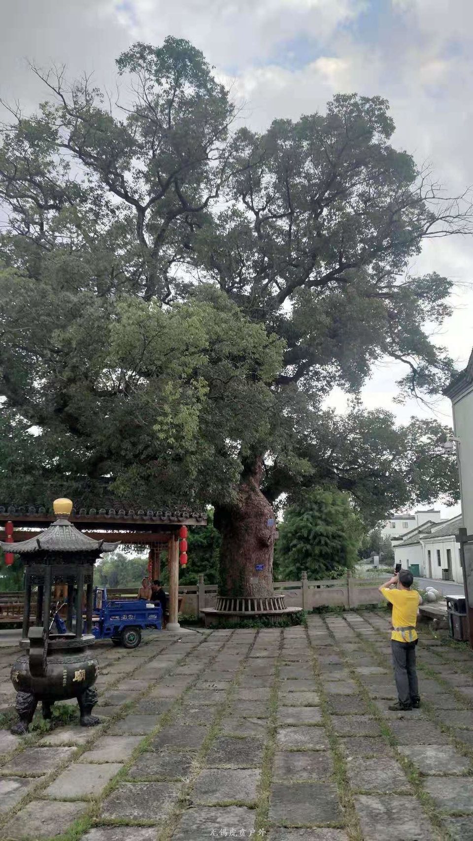 微信图片_20190804110016