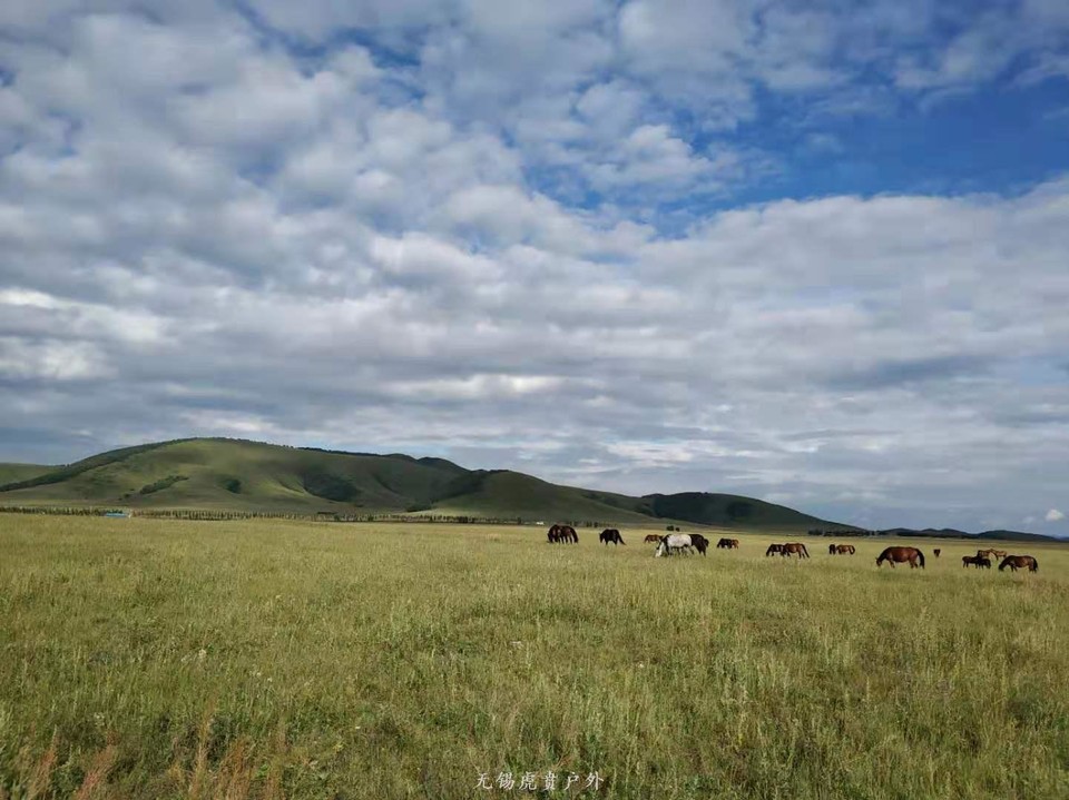 微信图片_20190814142026