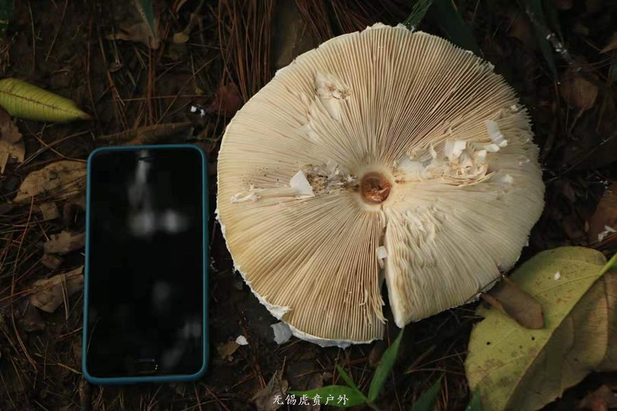 微信图片_20190907151253