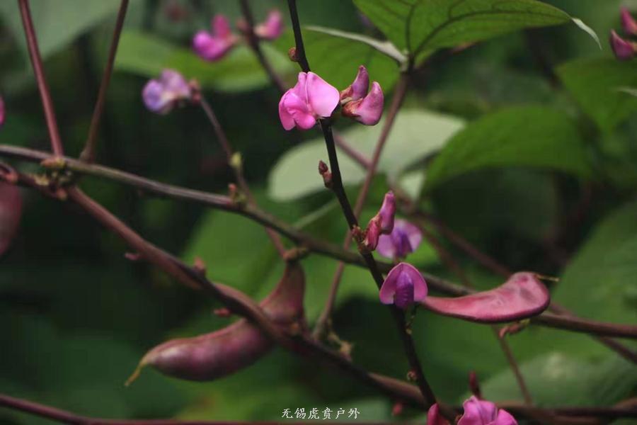 微信图片_20190907151346