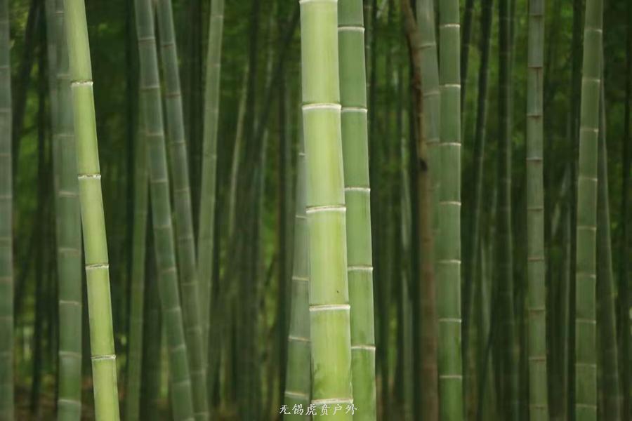 微信图片_20190907151412