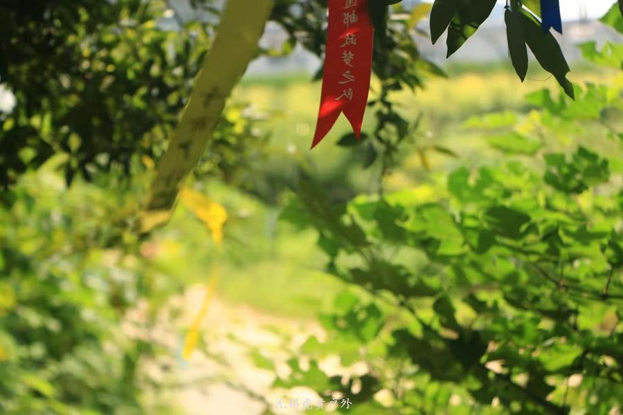 微信图片_20190907151435