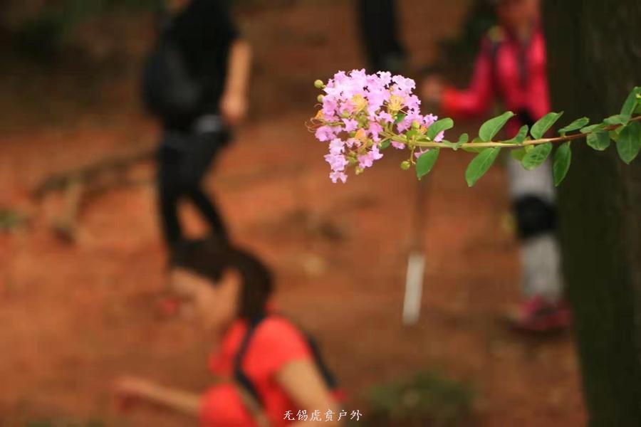 微信图片_20190907151455