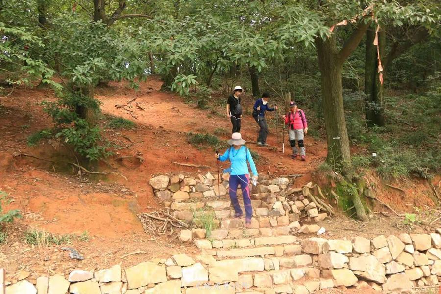 微信图片_20190907151458