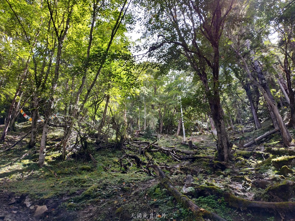 微信图片_20190911094905