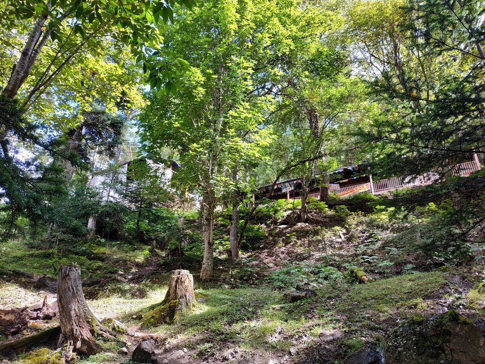 微信图片_20190911094914