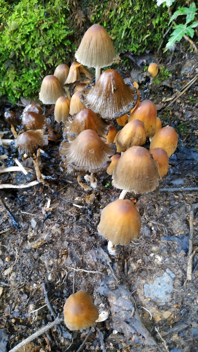 微信图片_20190911094909