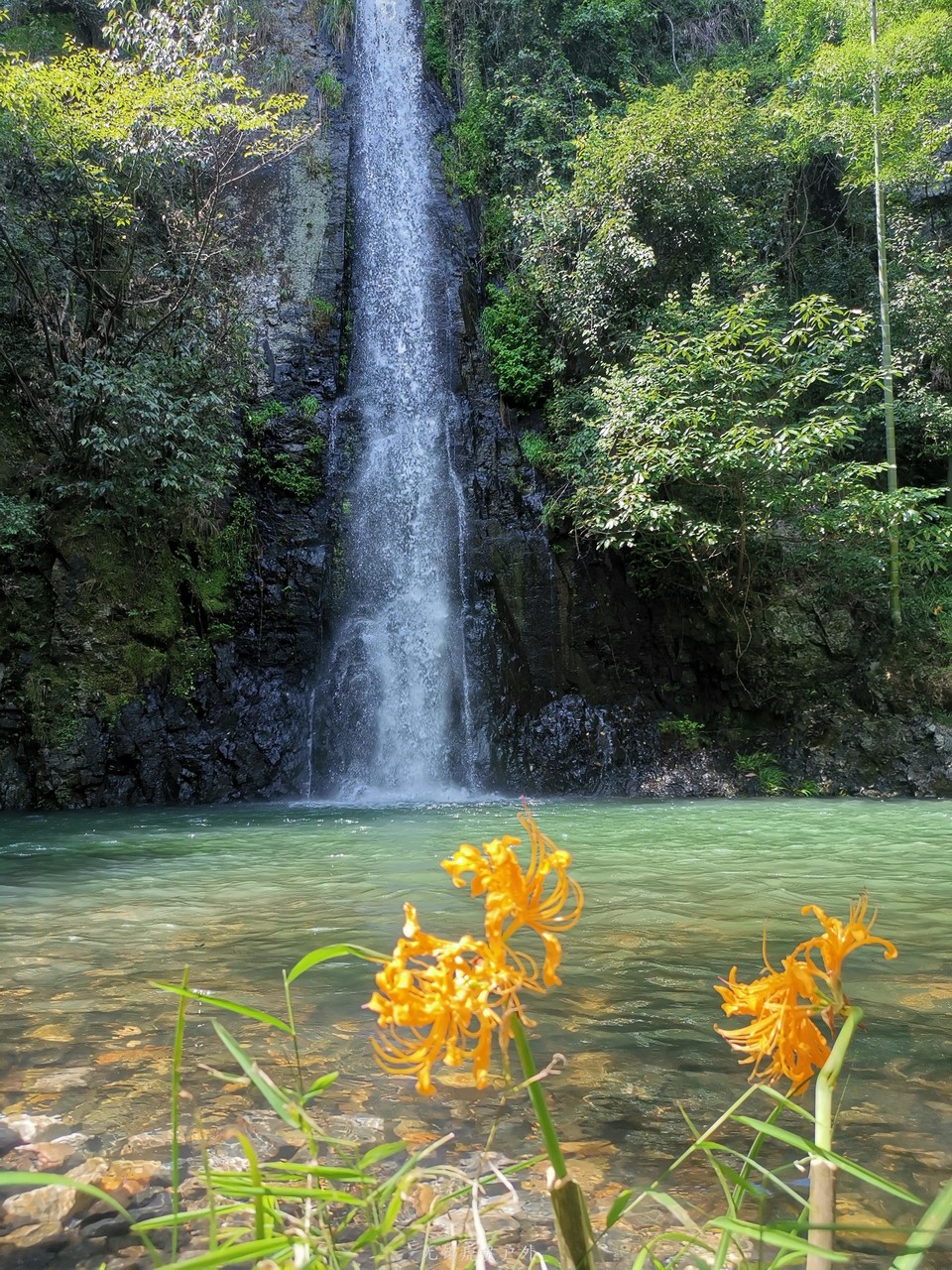 微信图片_20190914170726