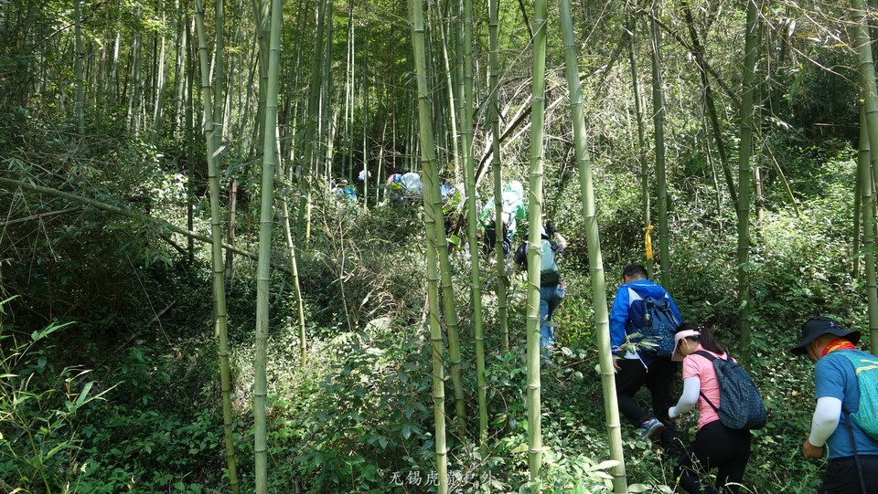 微信图片_20190914225639