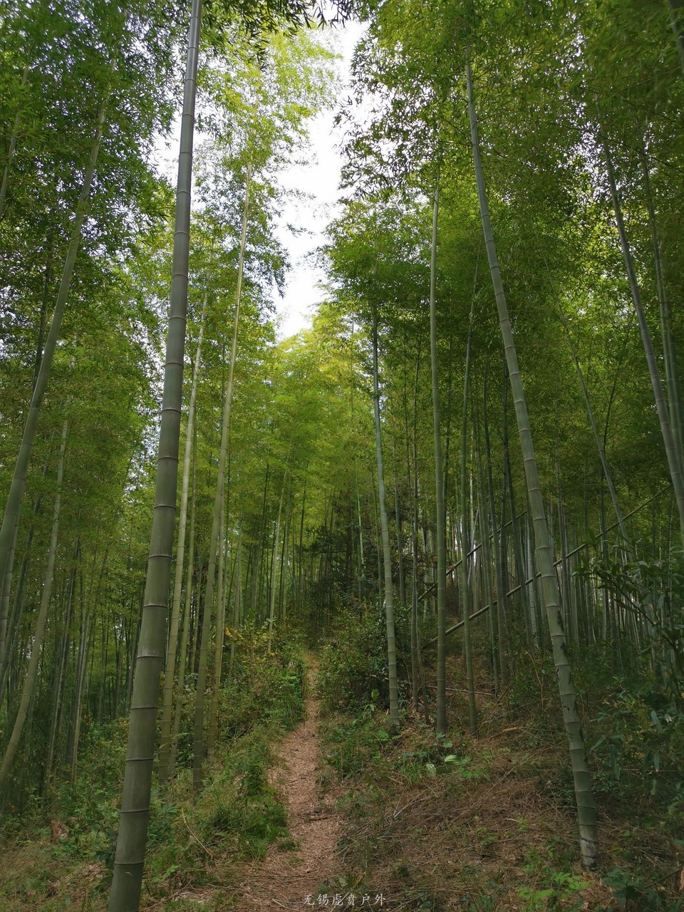 微信图片_20190914225946