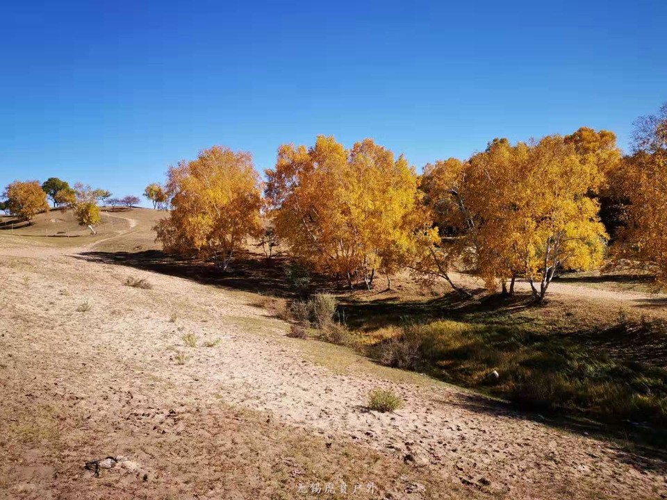 微信图片_20190922171556