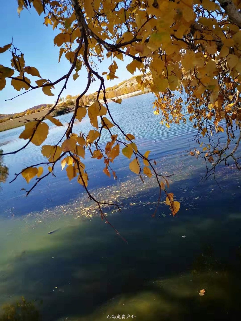 微信图片_20190922171608