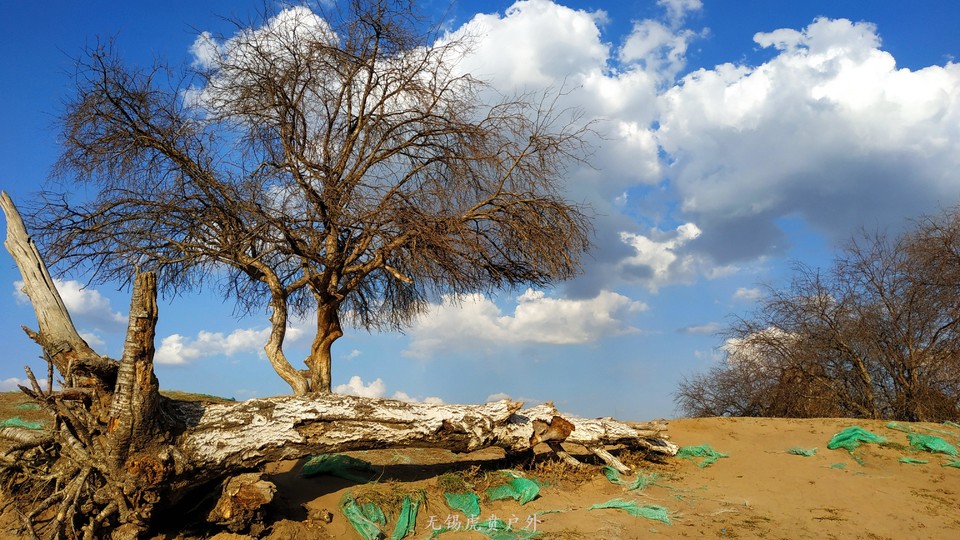 微信图片_20190927194205