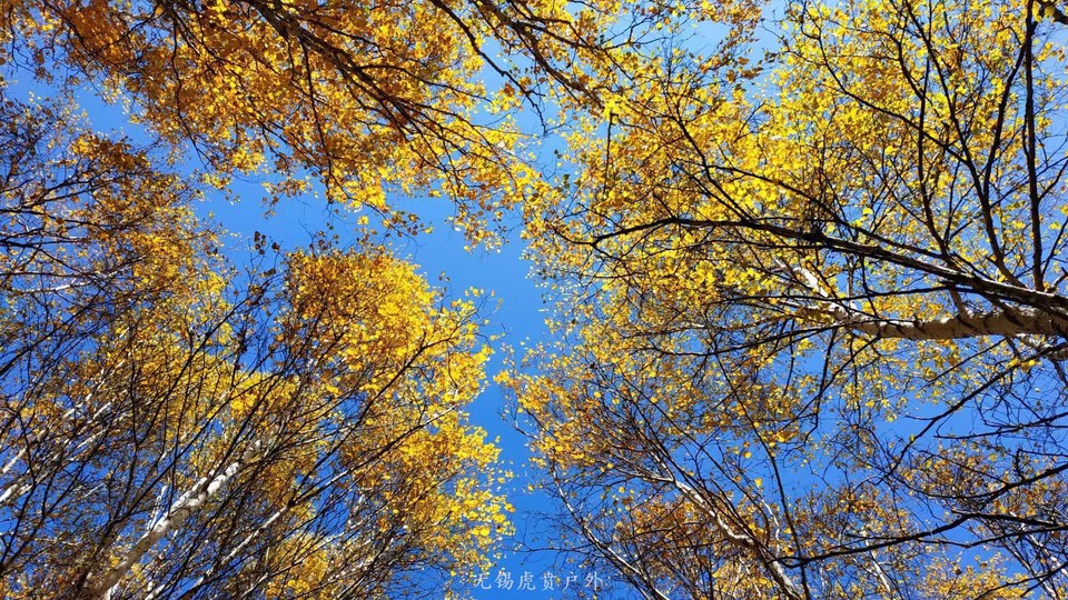 微信图片_20190927194226