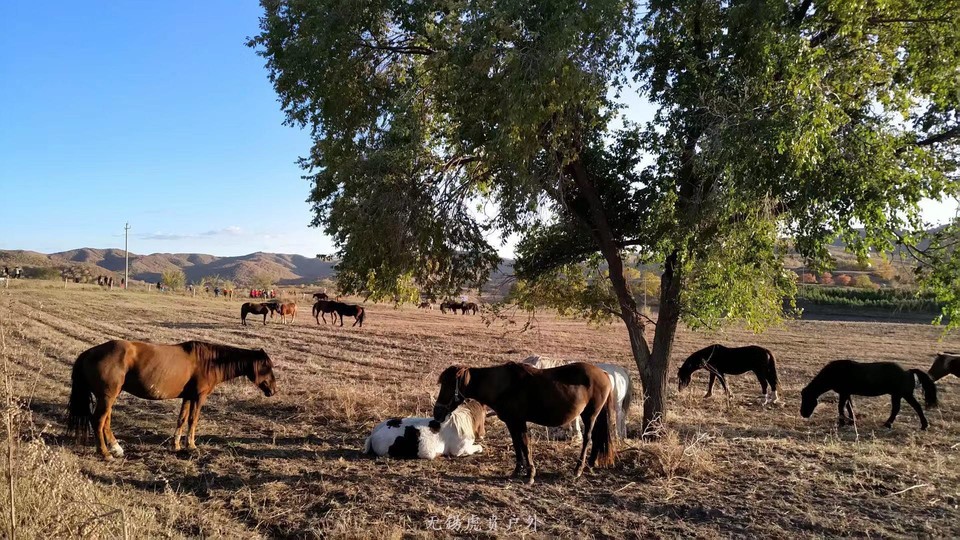 微信图片_20190927194230