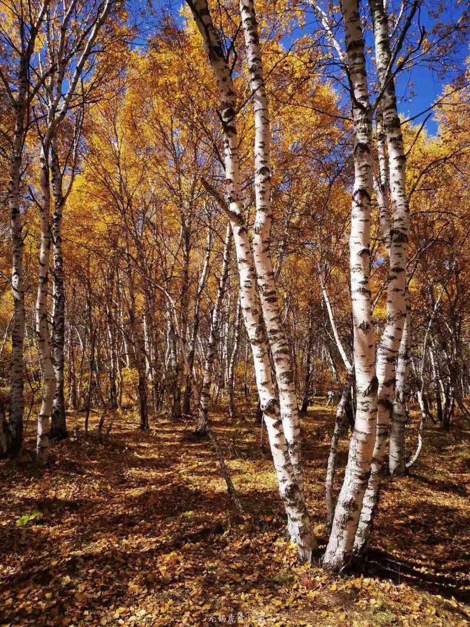 微信图片_20190927194244