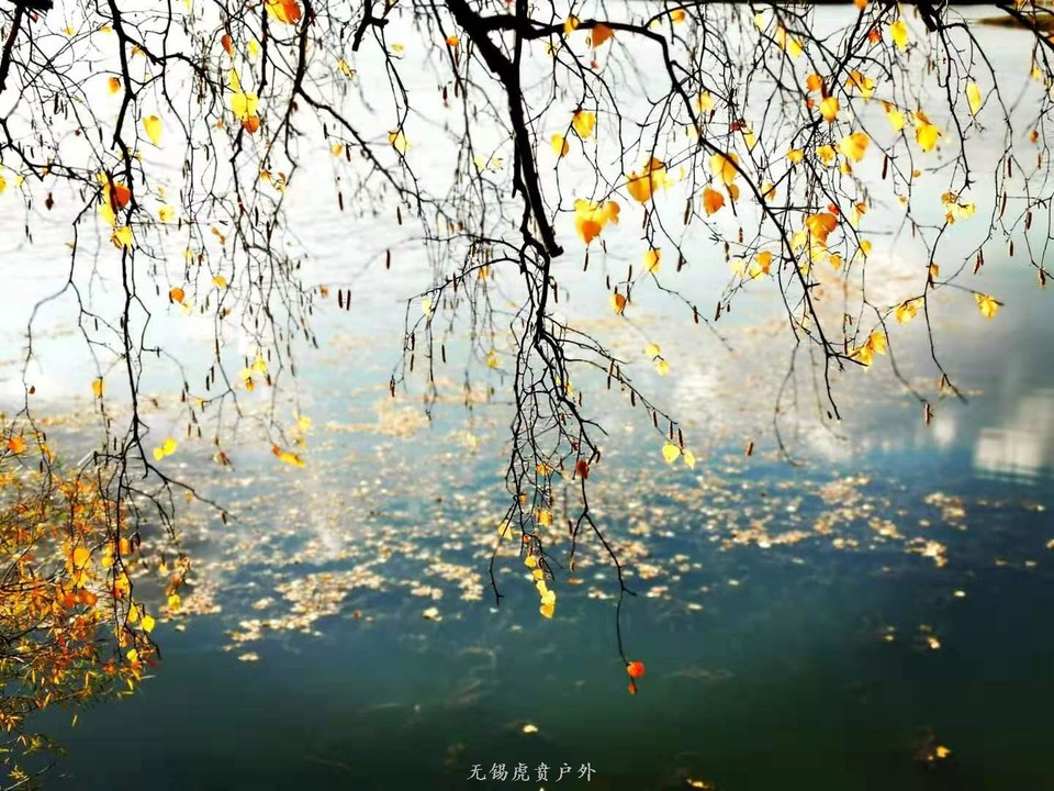 微信图片_20190927194435