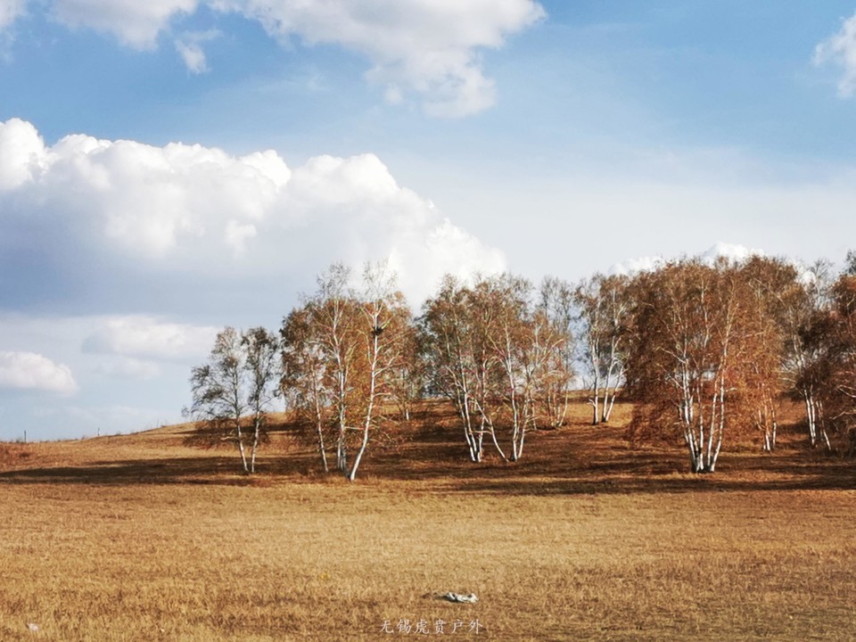 微信图片_20191002195020