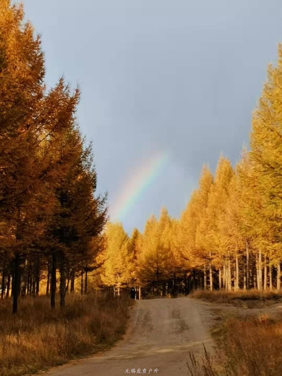 微信图片_20191002195230