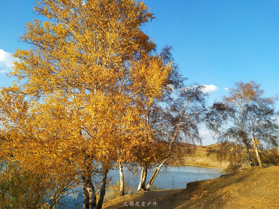 微信图片_20191002195214