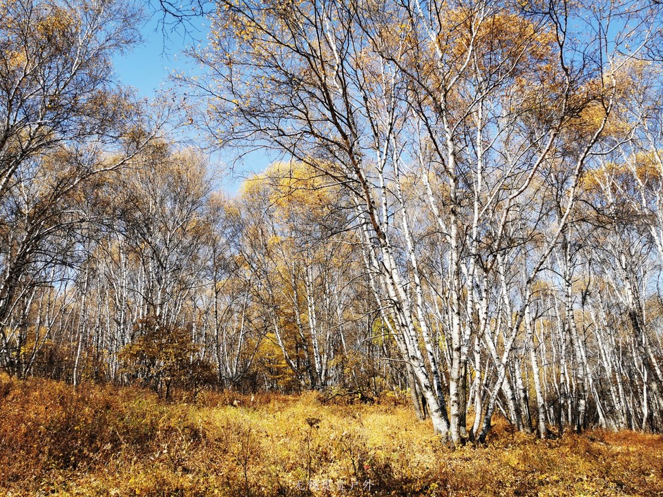 微信图片_20191002195402