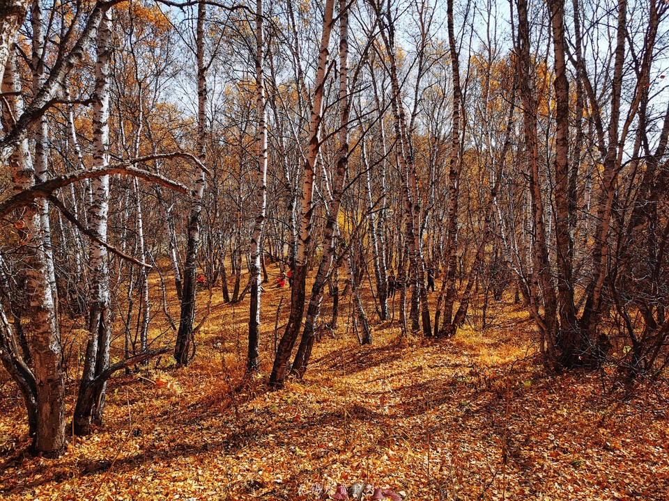 微信图片_20191002195541