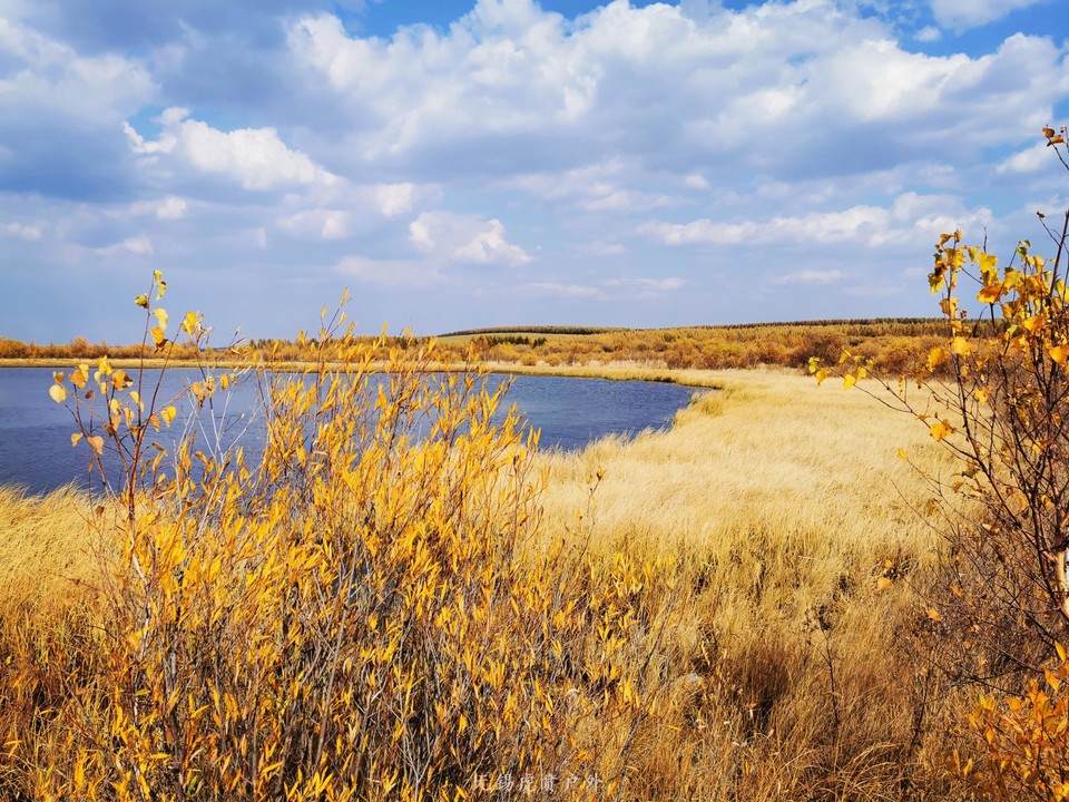 微信图片_20191002195552