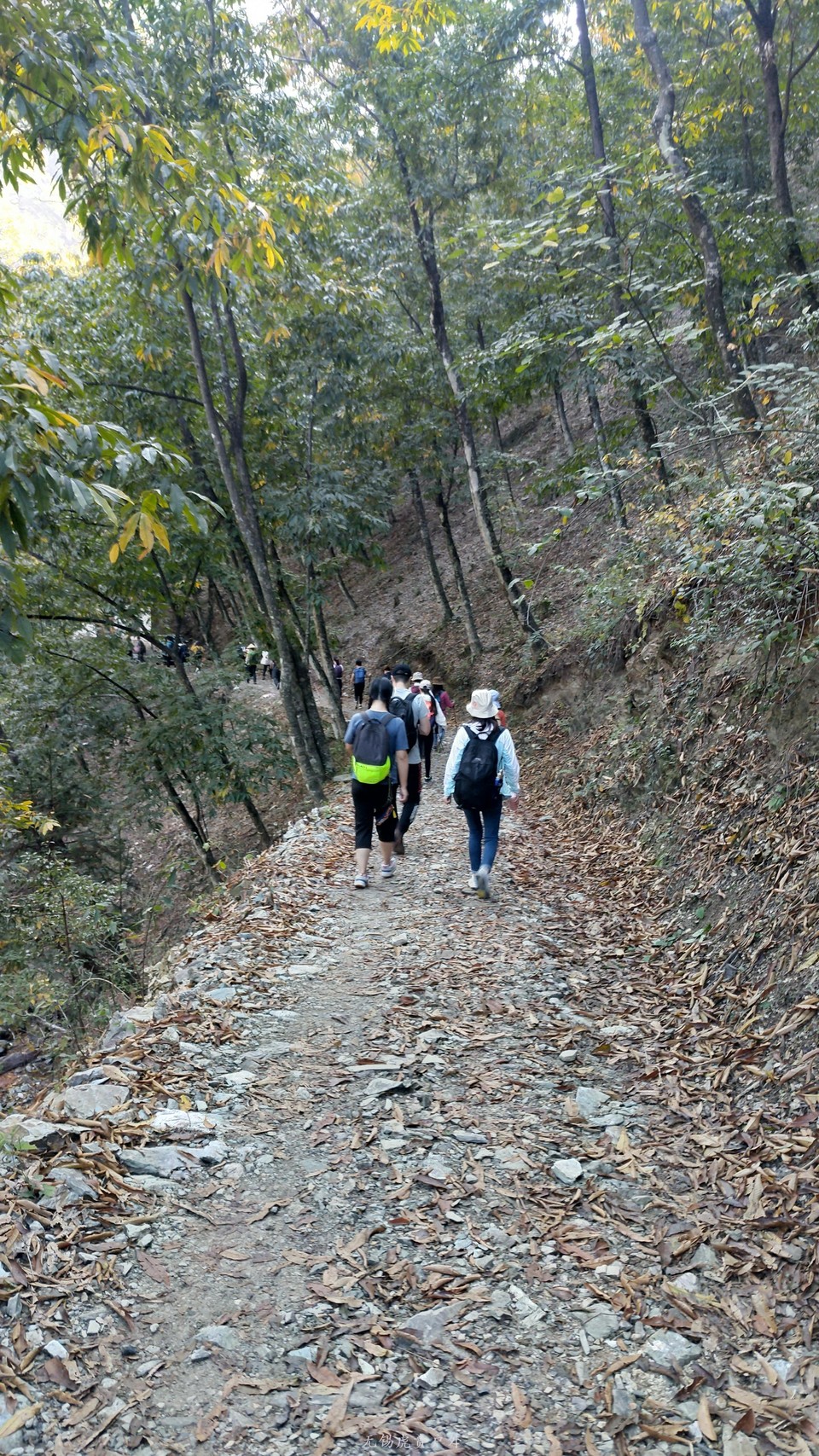 微信图片_20191003193642