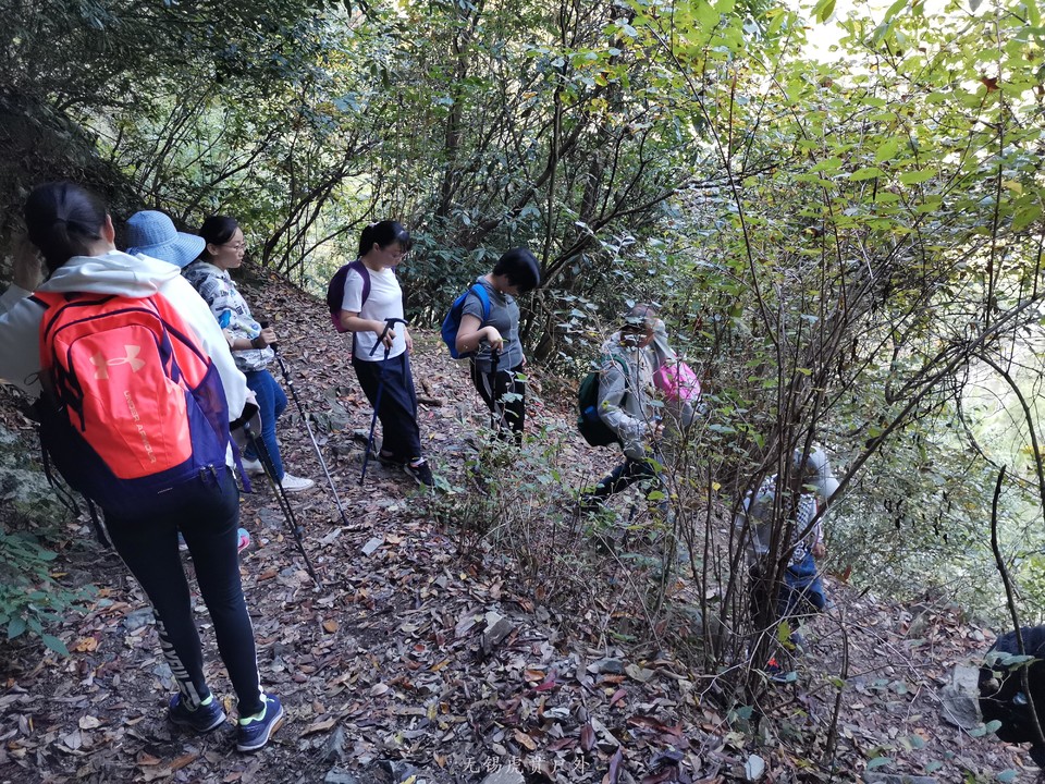 微信图片_20191003193908