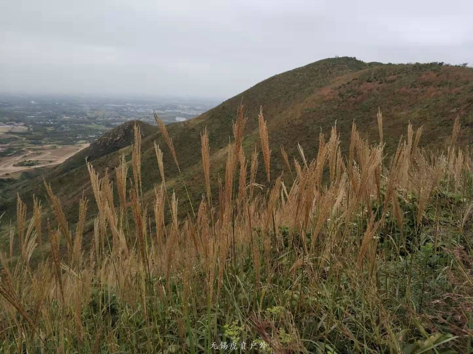 微信图片_20191006142724