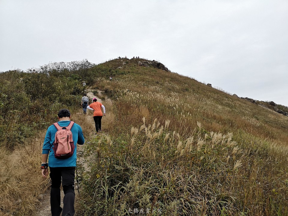 微信图片_20191006142934