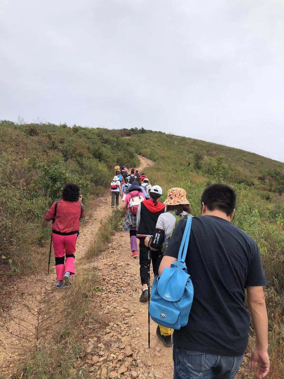 微信图片_20191007110911