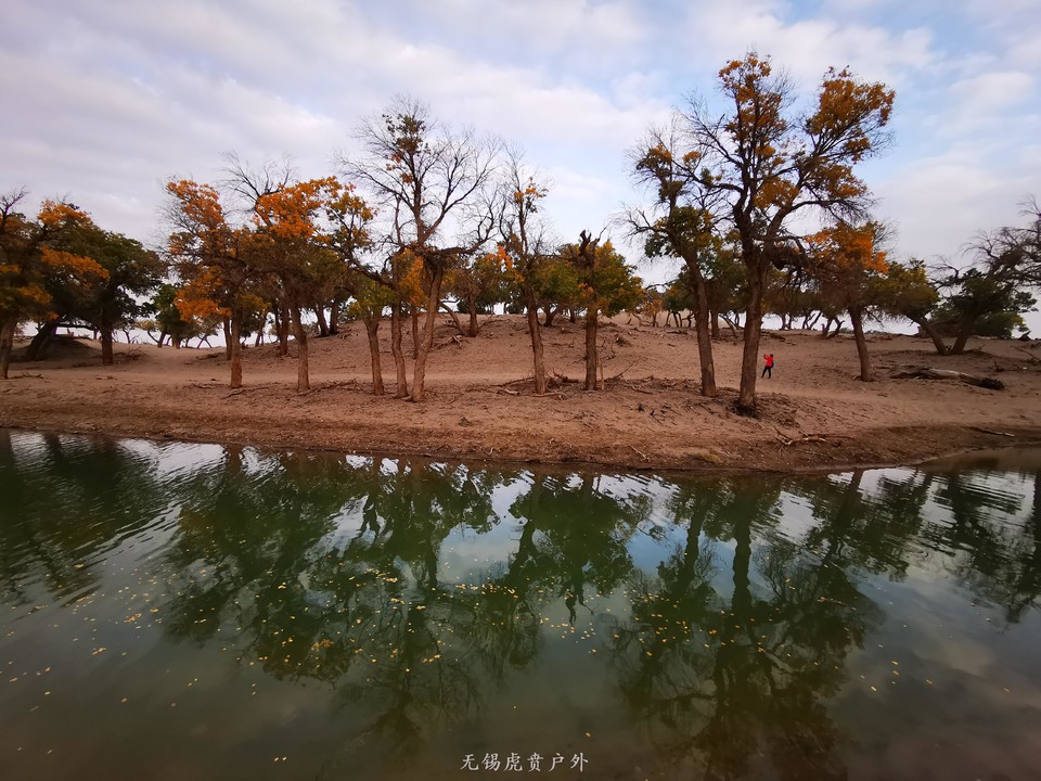 微信图片_20191003194357