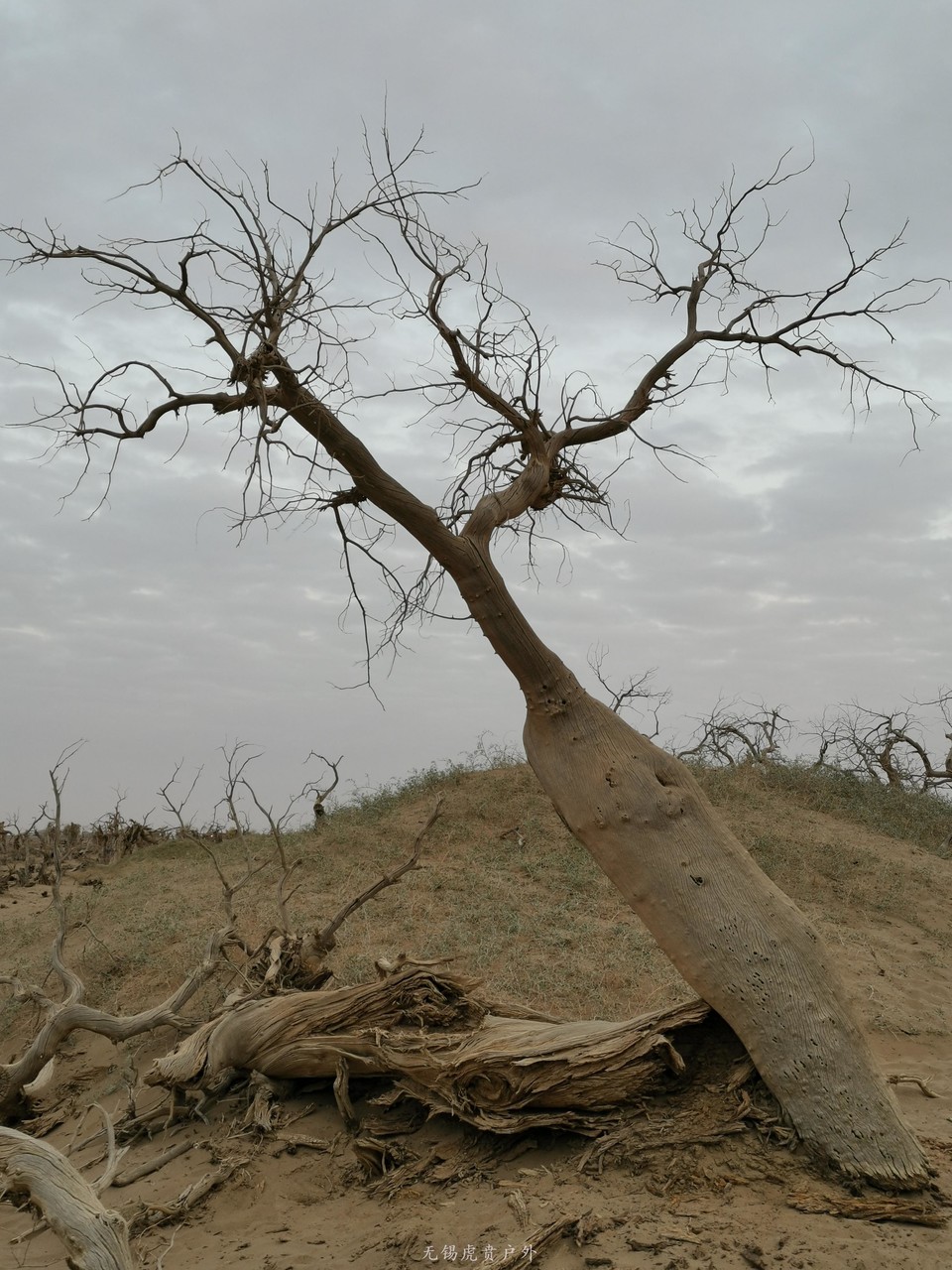 微信图片_20191003194439