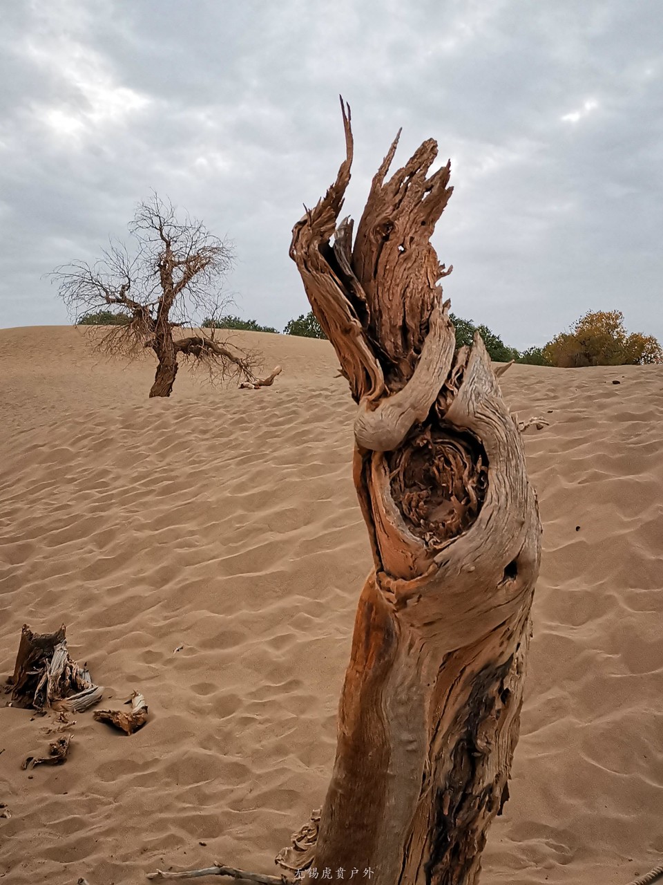 微信图片_20191003194424