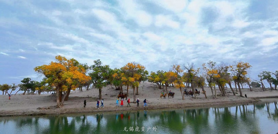 微信图片_20191004160058