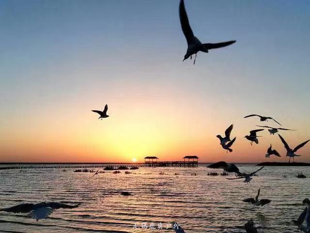 微信图片_20191004160105