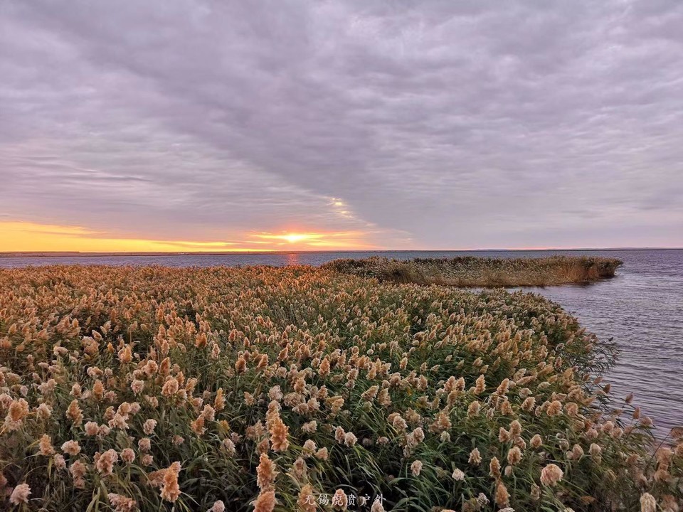 微信图片_20191004160114