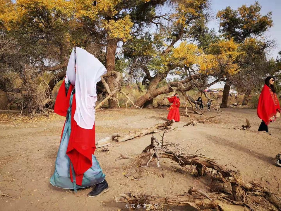 微信图片_20191004160139