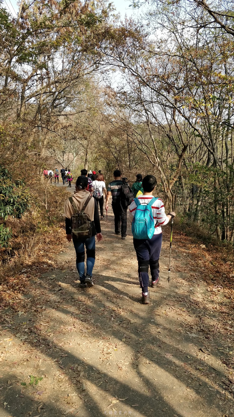 微信图片_20191103182021