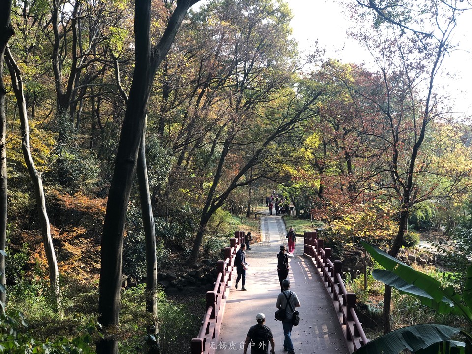 微信图片_20191103182203