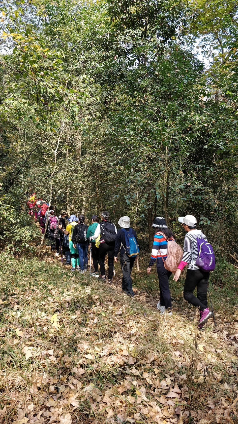 微信图片_20191103182347