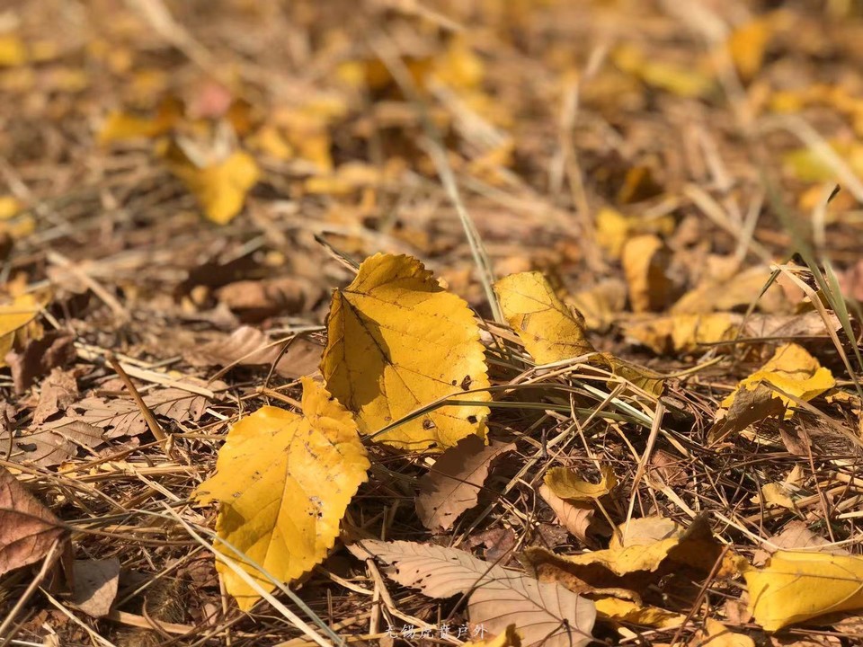 微信图片_20191103183722