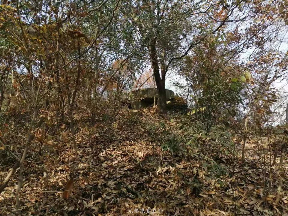 微信图片_20191103183743