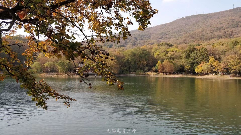 微信图片_20191103183754