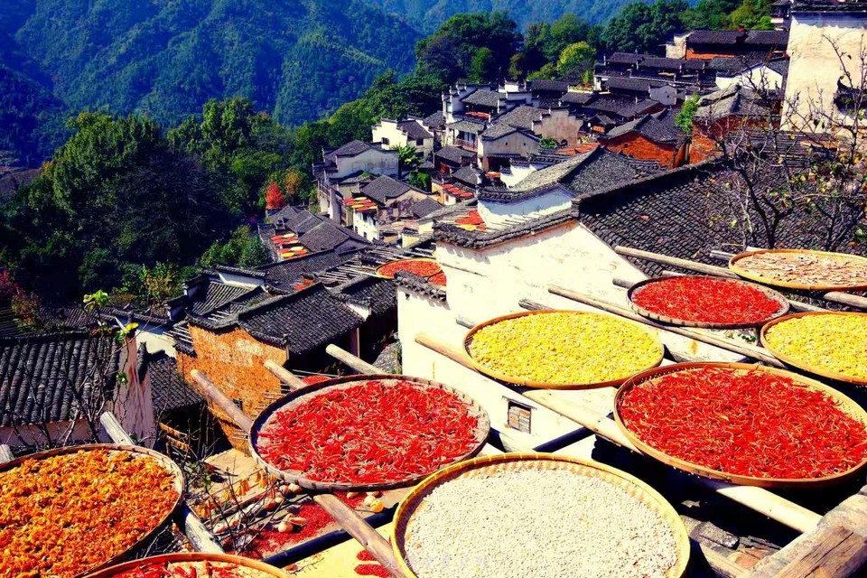 微信图片_20191103083738