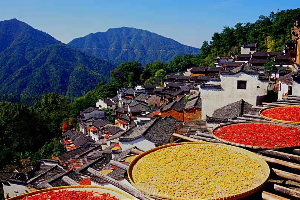 微信图片_20191103083744