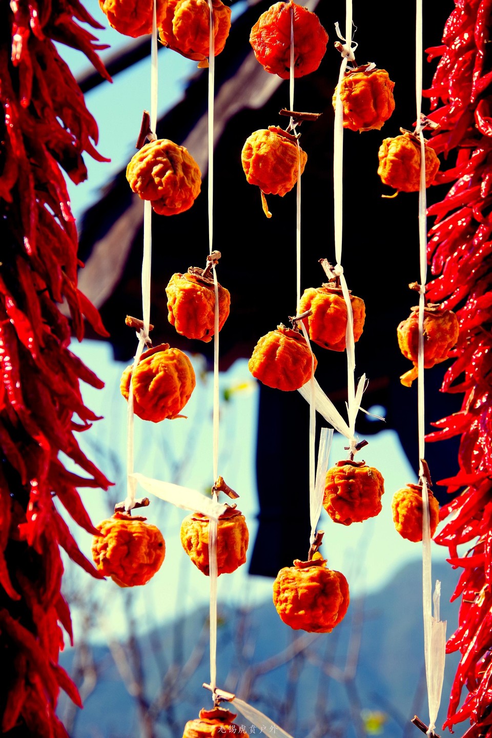 微信图片_20191103083945