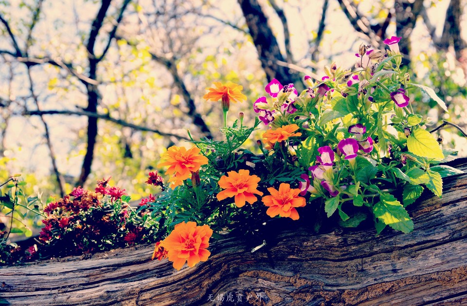 微信图片_20191103083951