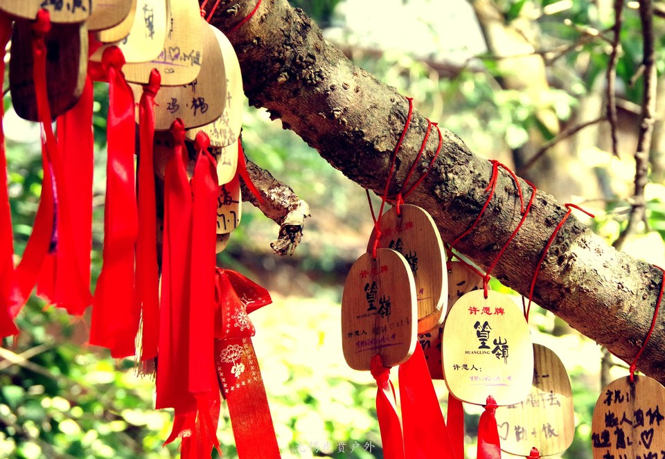 微信图片_20191103083956